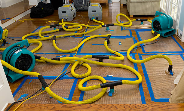 Professional Water Damage Restoration technician working in Pahala, HI